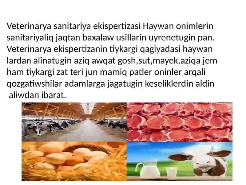 Radiobiologik Veterinariya Sanitariya Ekspertiza 3