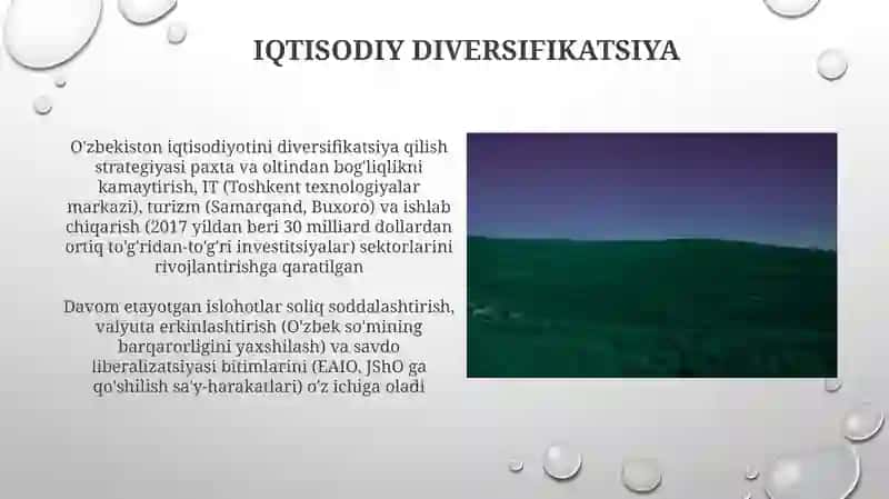 Iqtisodiy liberalizatsiya va diversifikatsiya 3