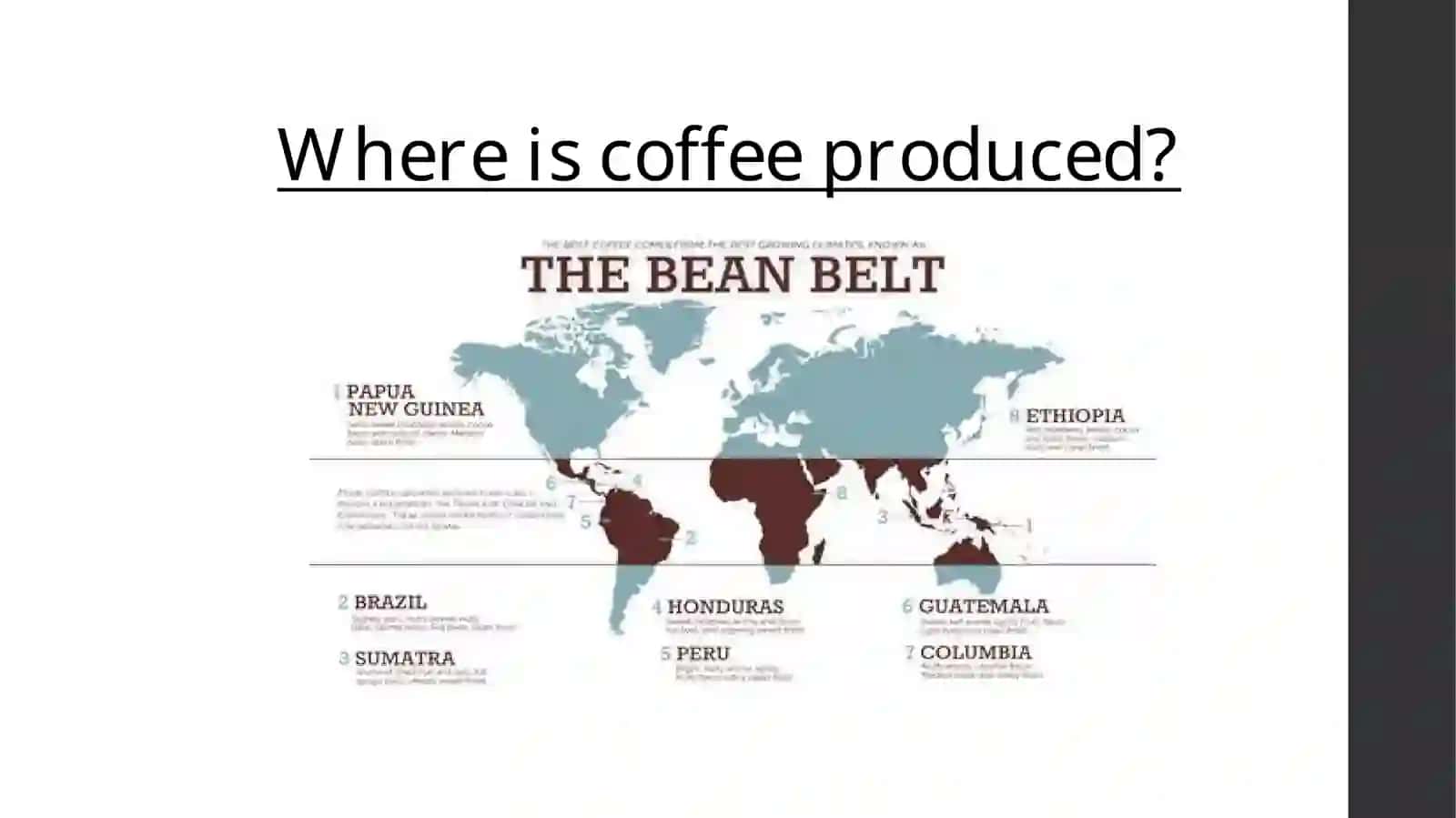 Coffee Culture 3