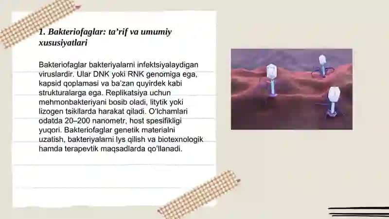 Bakteriofaglar 3