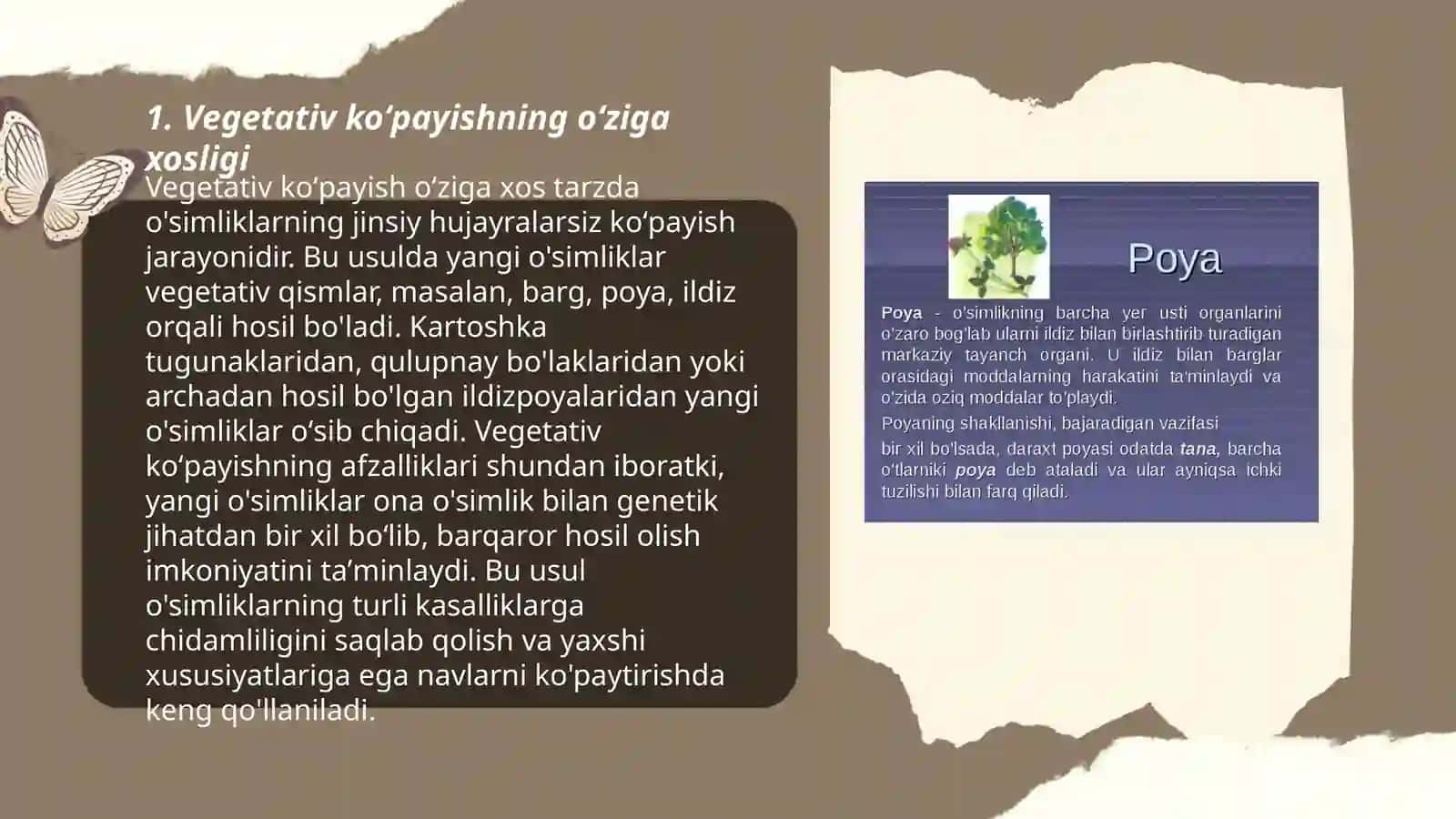 Vegetativ koʻpayishning mohiyati qishloq xo'jaligidagi ahamiyati 3