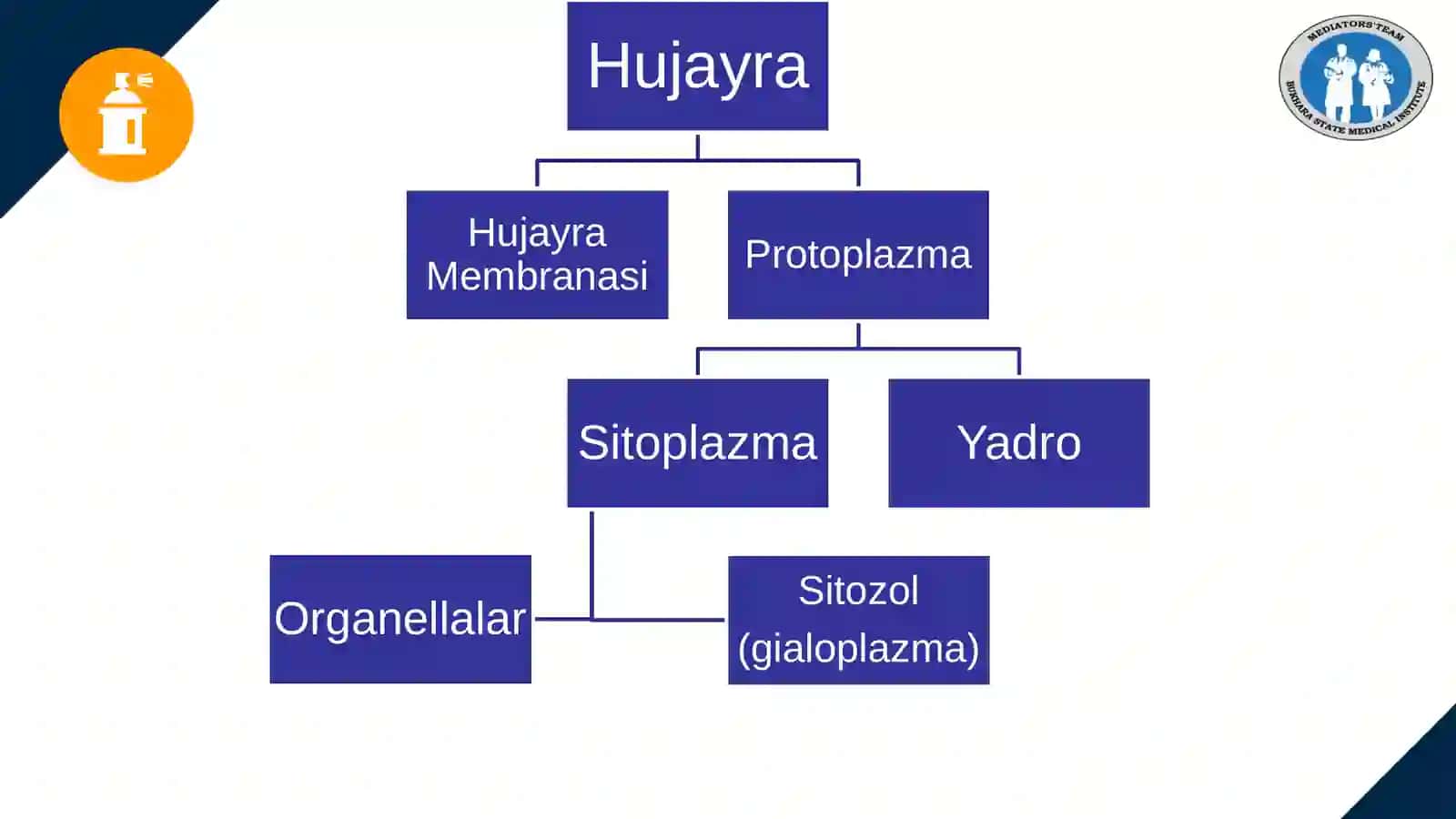 HISTOLOGY 3