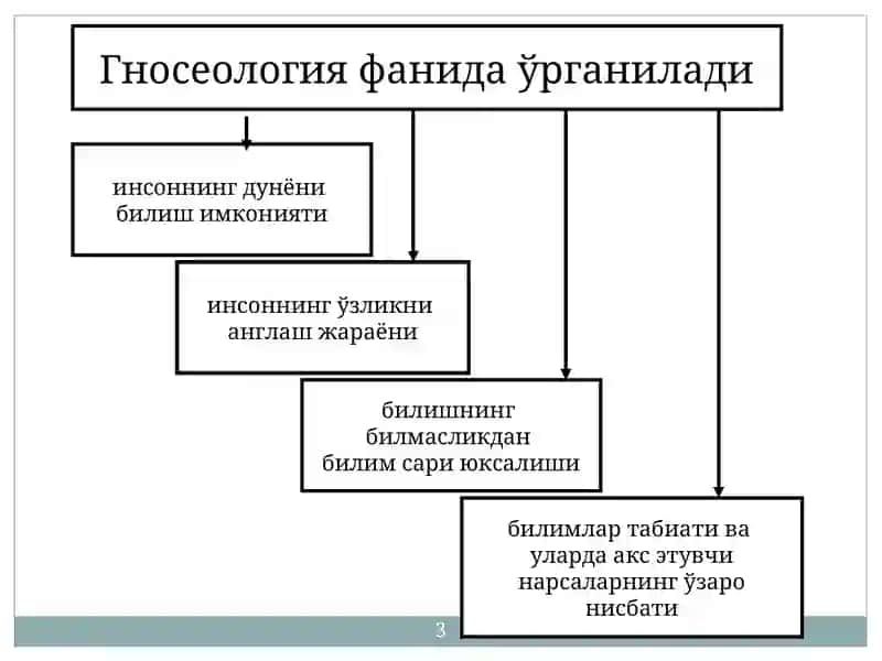Гносеология 3