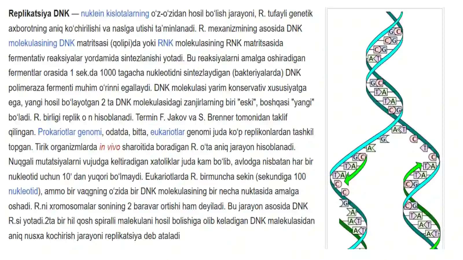 Kop Tarmoqli Tibbiyot Texnikumi Hamishiralikishiyonalishi 114-guruhtalabasi 3