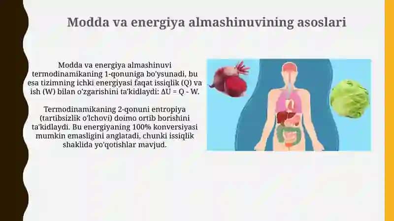 Moddalar va energiya almashinuvi 3