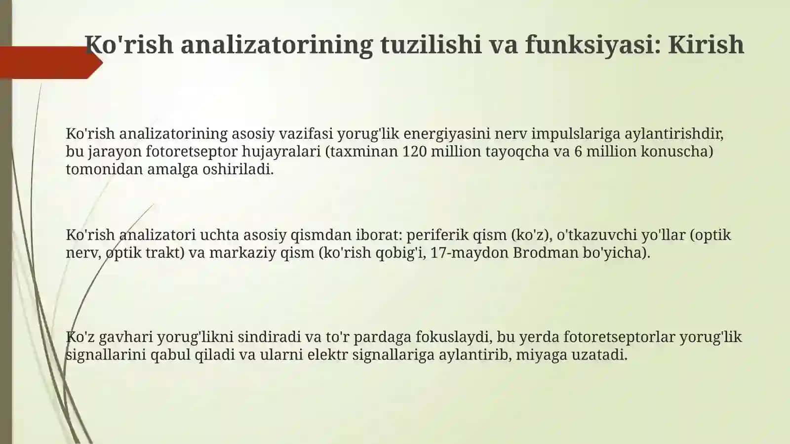Koʼrish analizatorlarining tuzilishi va funksiyasi 3