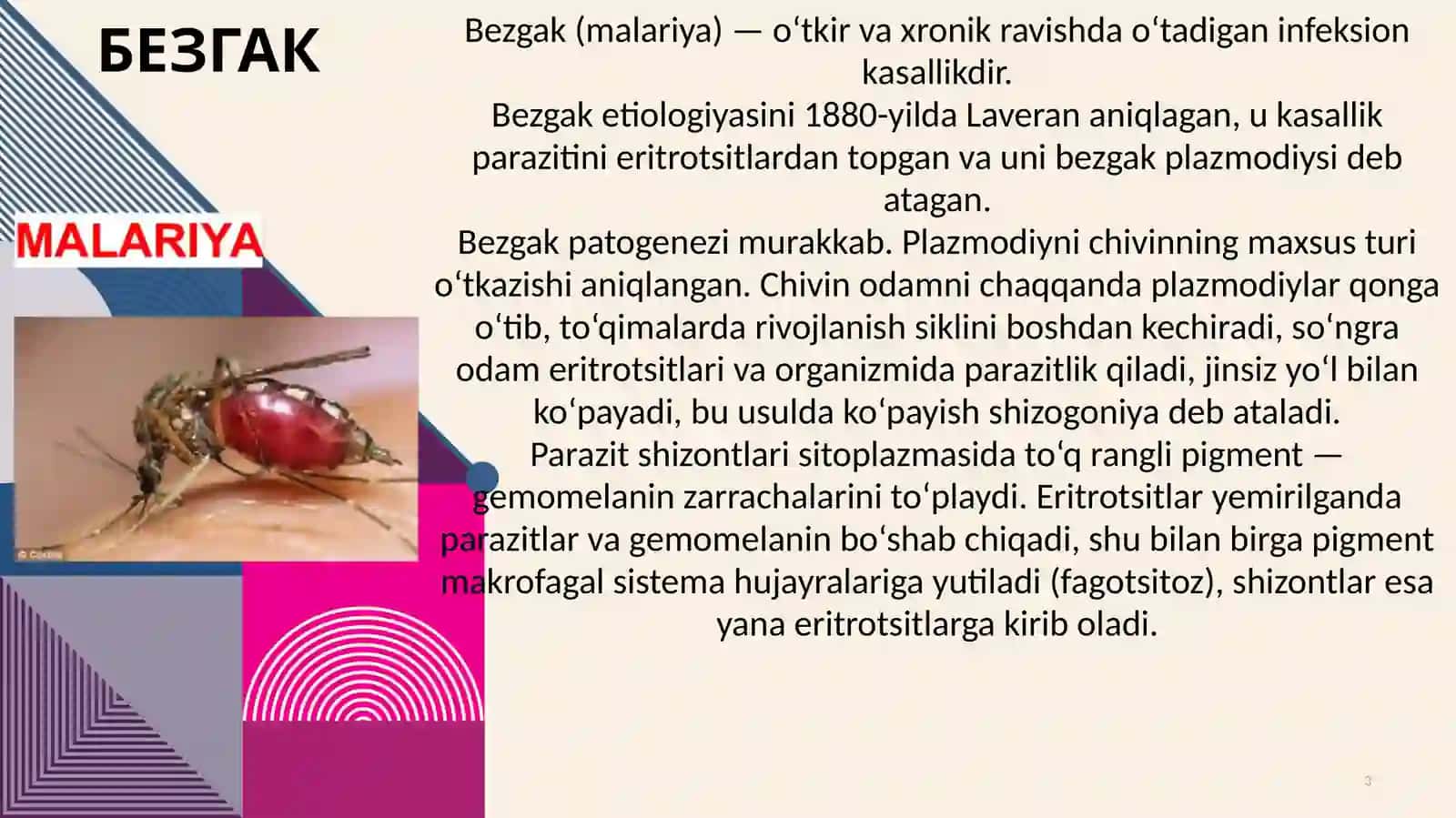 Parazitarinfeksiyalar 3