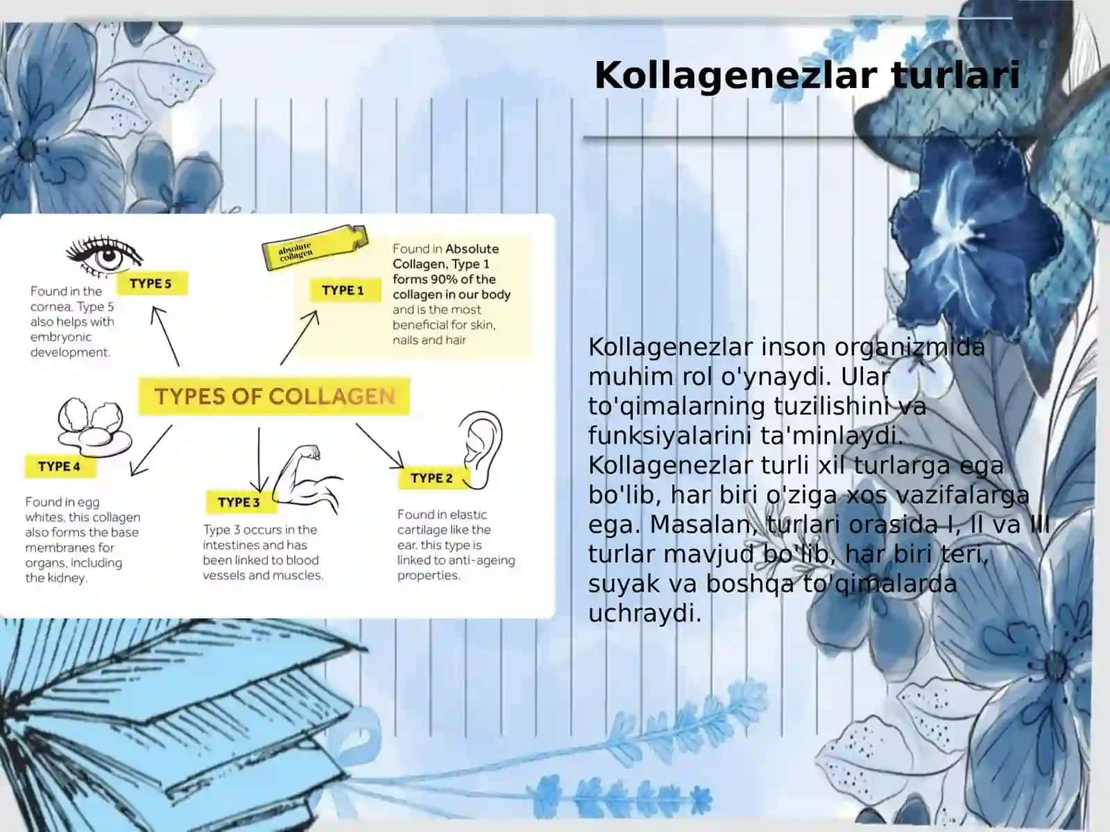 Kollagenezlar,patagenezi va tashxisi 3