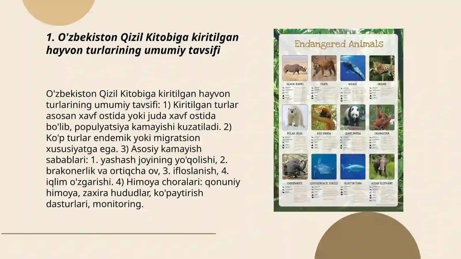 O'zbekiston Qizil Kitobiga kiritilgan hayvonot turlarini o'rganish 3