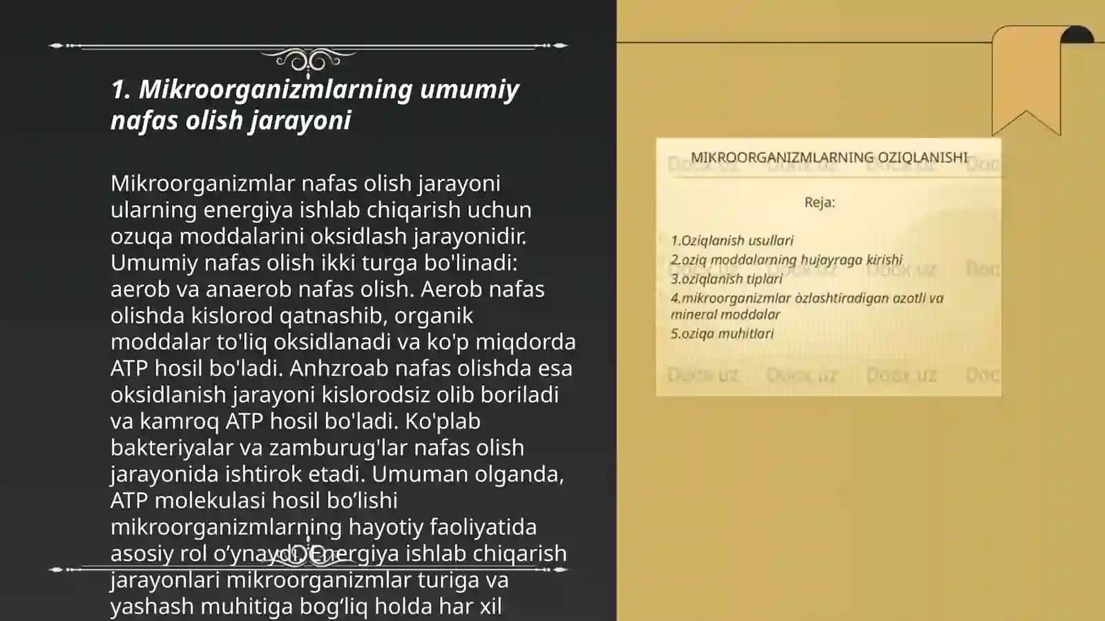 Mikroorganizmlarning nafas olishi va oziqlanishi 3