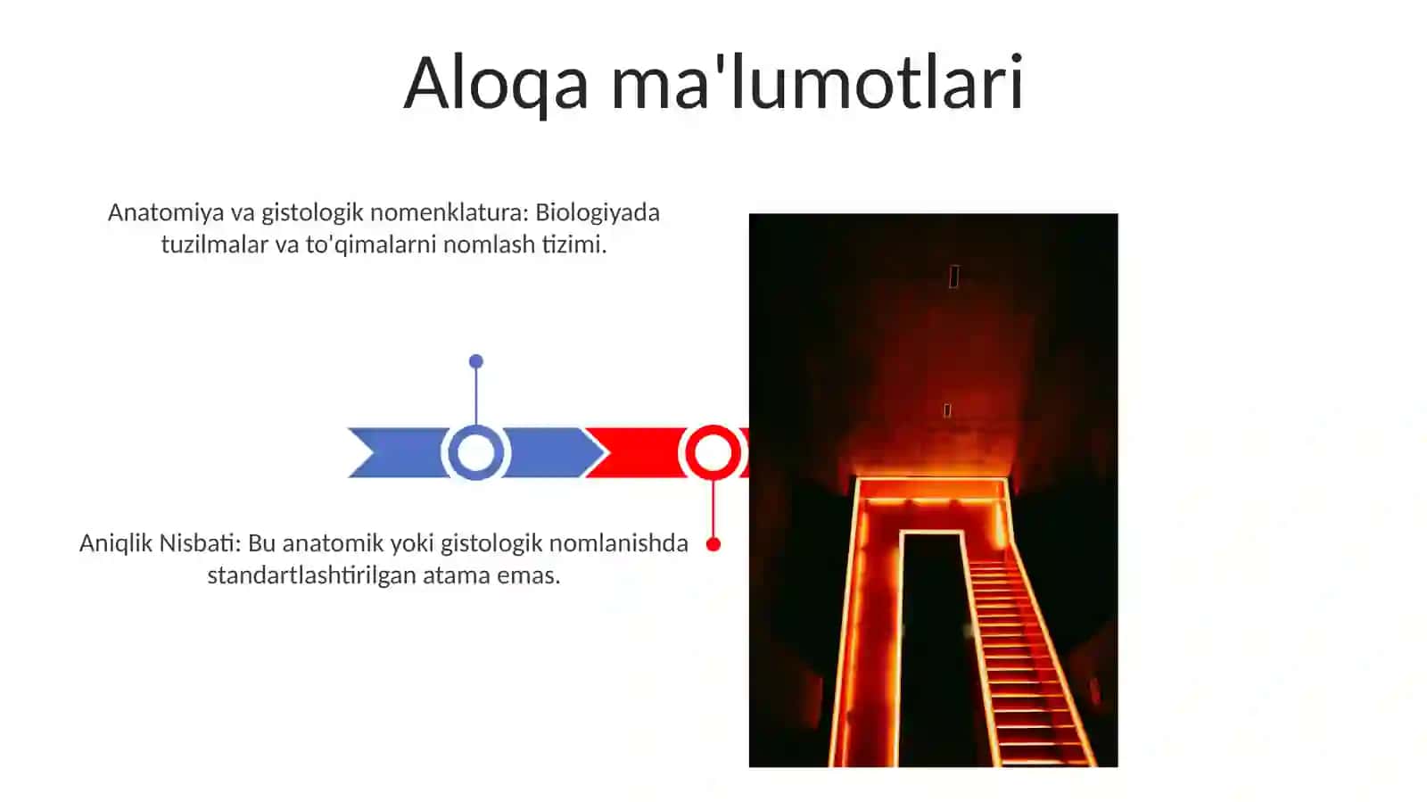 Anatomiya va gistologik nomenklatura 3