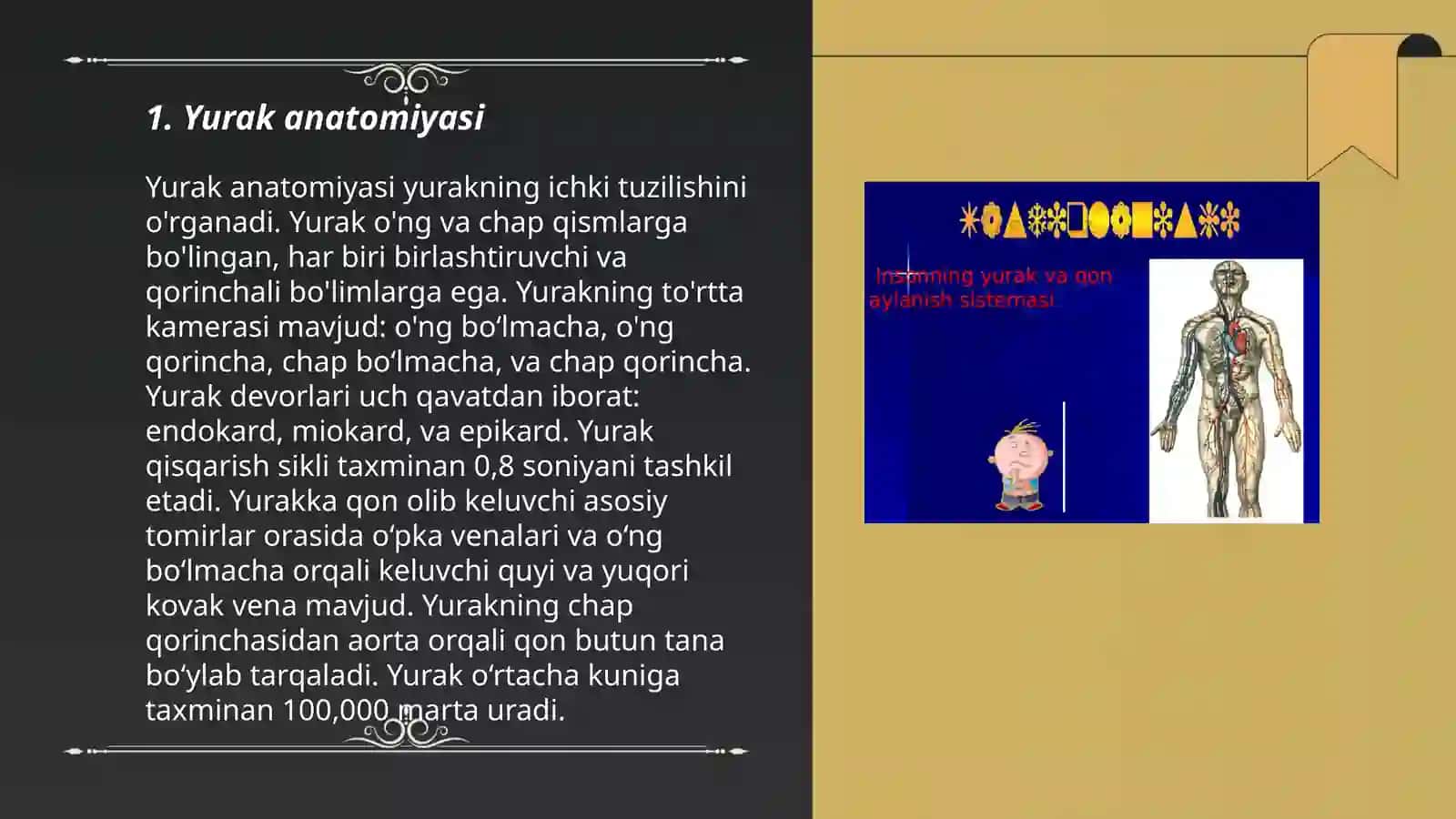 Yurakning õtkazuvchi tizimi, Yurak avtomatizi 3