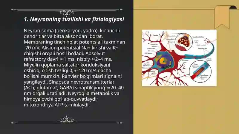 Nerv tizimining xususiy fiziologiyasi 3