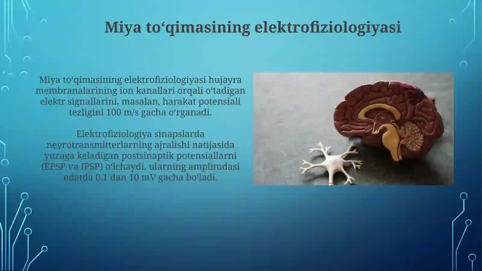Bez to'qimasining elektrofiziologiyasi 3