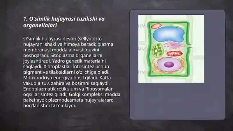 O'simliklar, Hayvonlar, Odam hujayrasi tuzilishi, Anatomiyasi, Fiziologiyasi 3