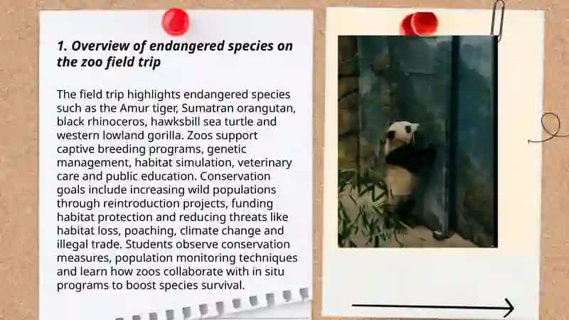 Animal's in danger:a field trip to the zoo 3