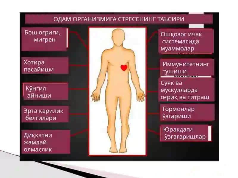 Vitaminlar haqida umumiy tushuncha 3