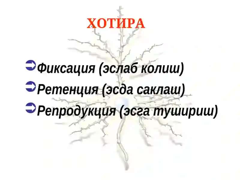 Психиатрия 3