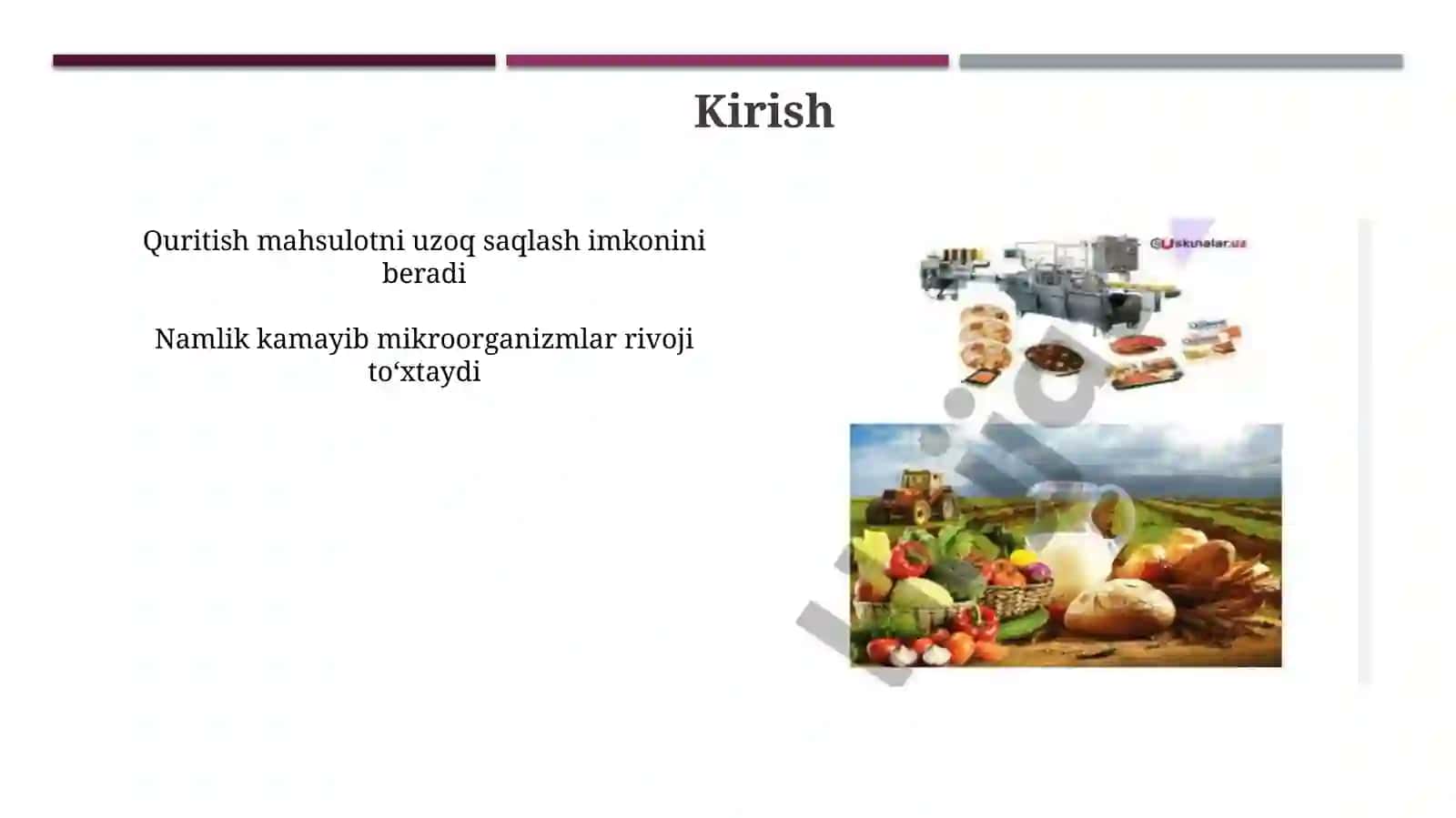 Sabzavot va poliz mahsulotlarini quritish maydonini tashkil etish 3