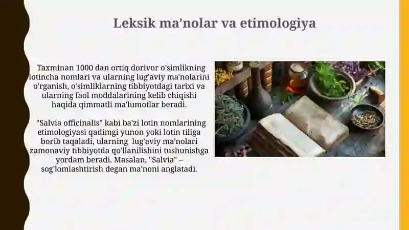 Dorivor o’simliklarning tibbiyotda qo’llanilishi, lotincha nomi va ularning leksik ma’nosi 3