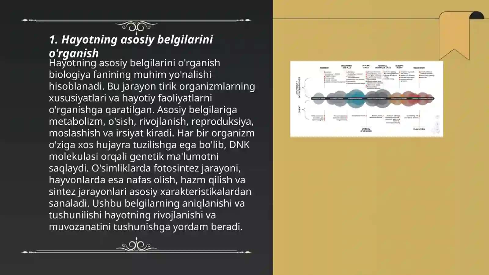 Biologiya tushunchalarini rivojlantirish nazariyasi 3