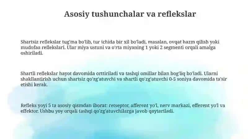 Yuksaknerv faoliyati I.P.Pavlov ta'limoti 3