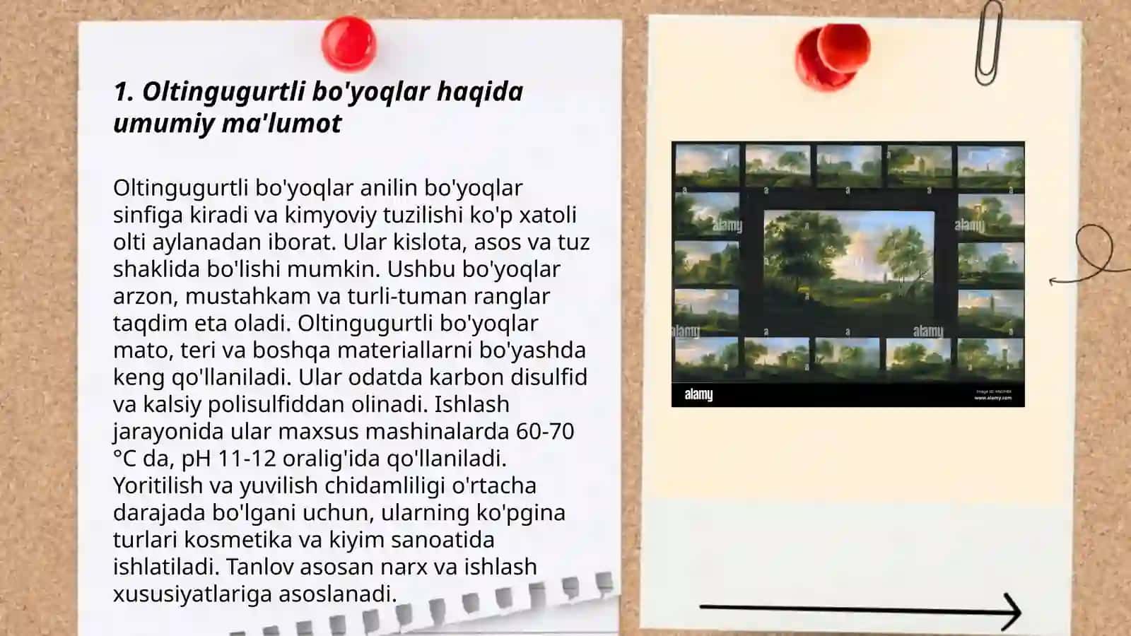 Oltingugurtli bo'yovchi moddalar bilan bo'yash texnologiyasi 3