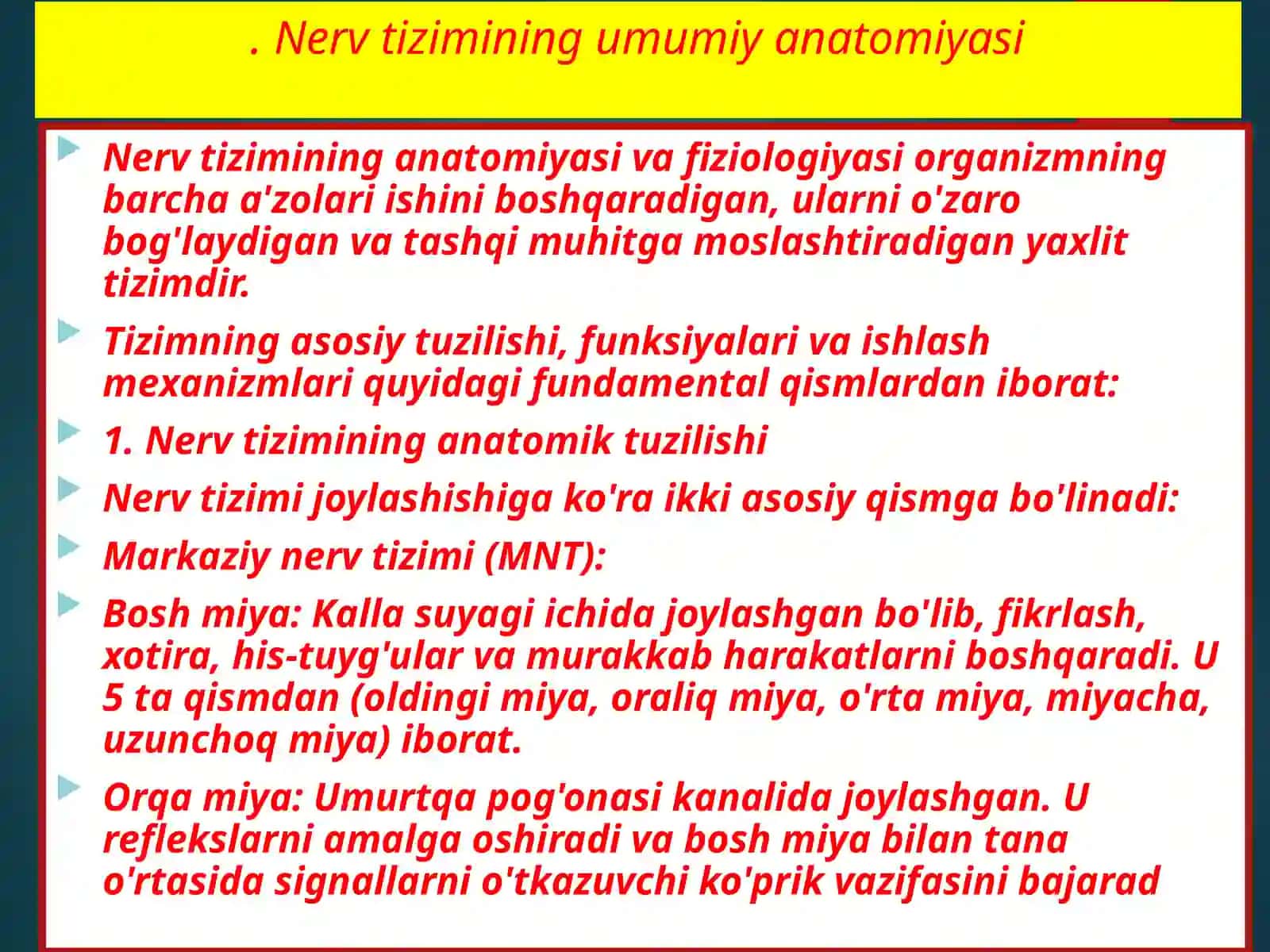 Nervtizimining umumiyanatomiyasi 3