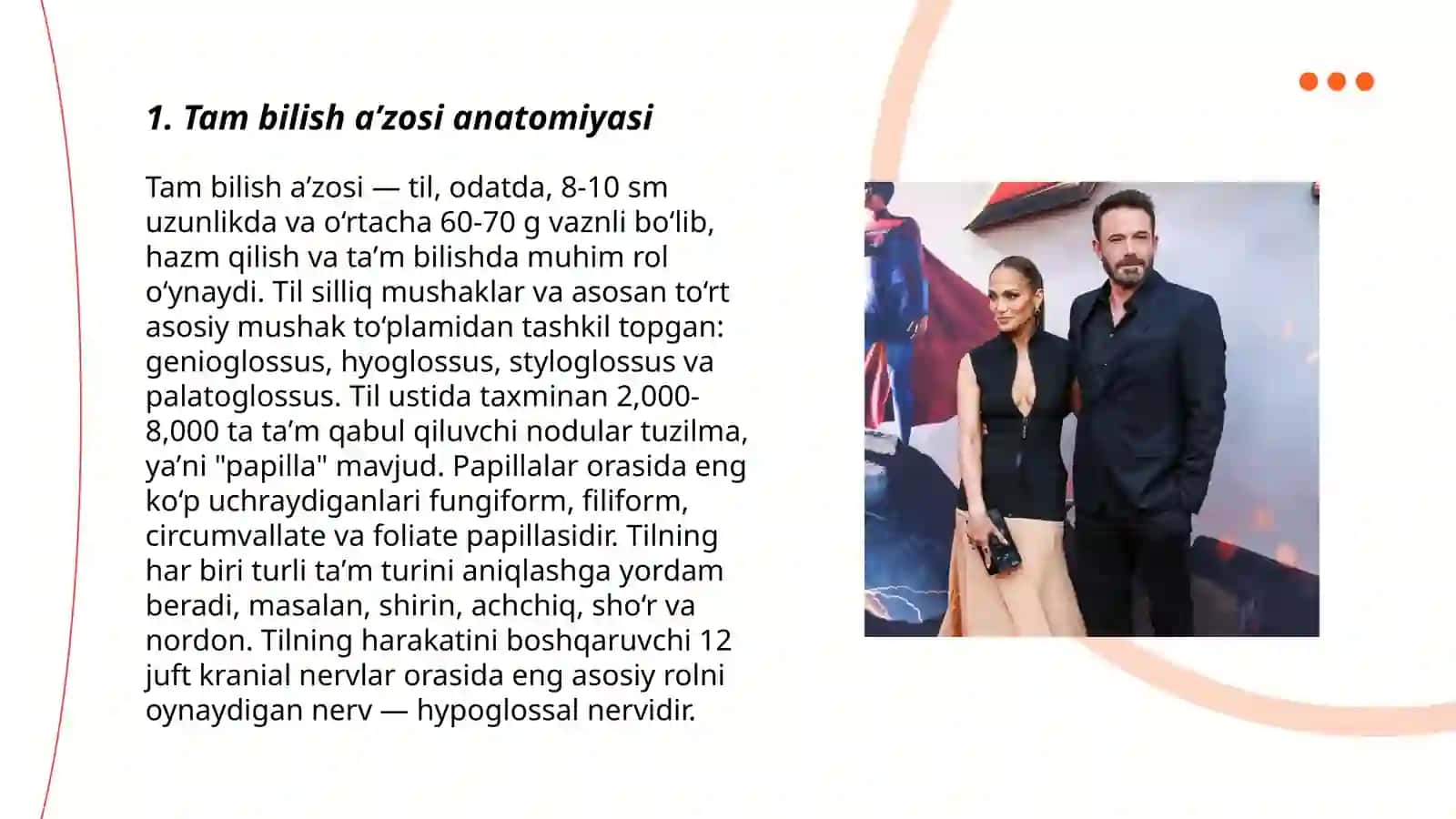 Tam bilish a'zosi anatomiyasi 3