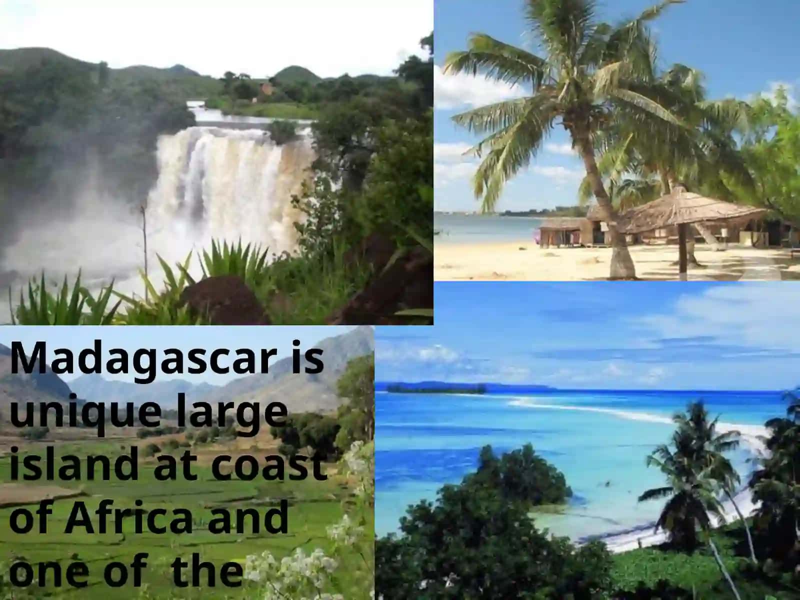Madagascar: Island of Life Treasures 3