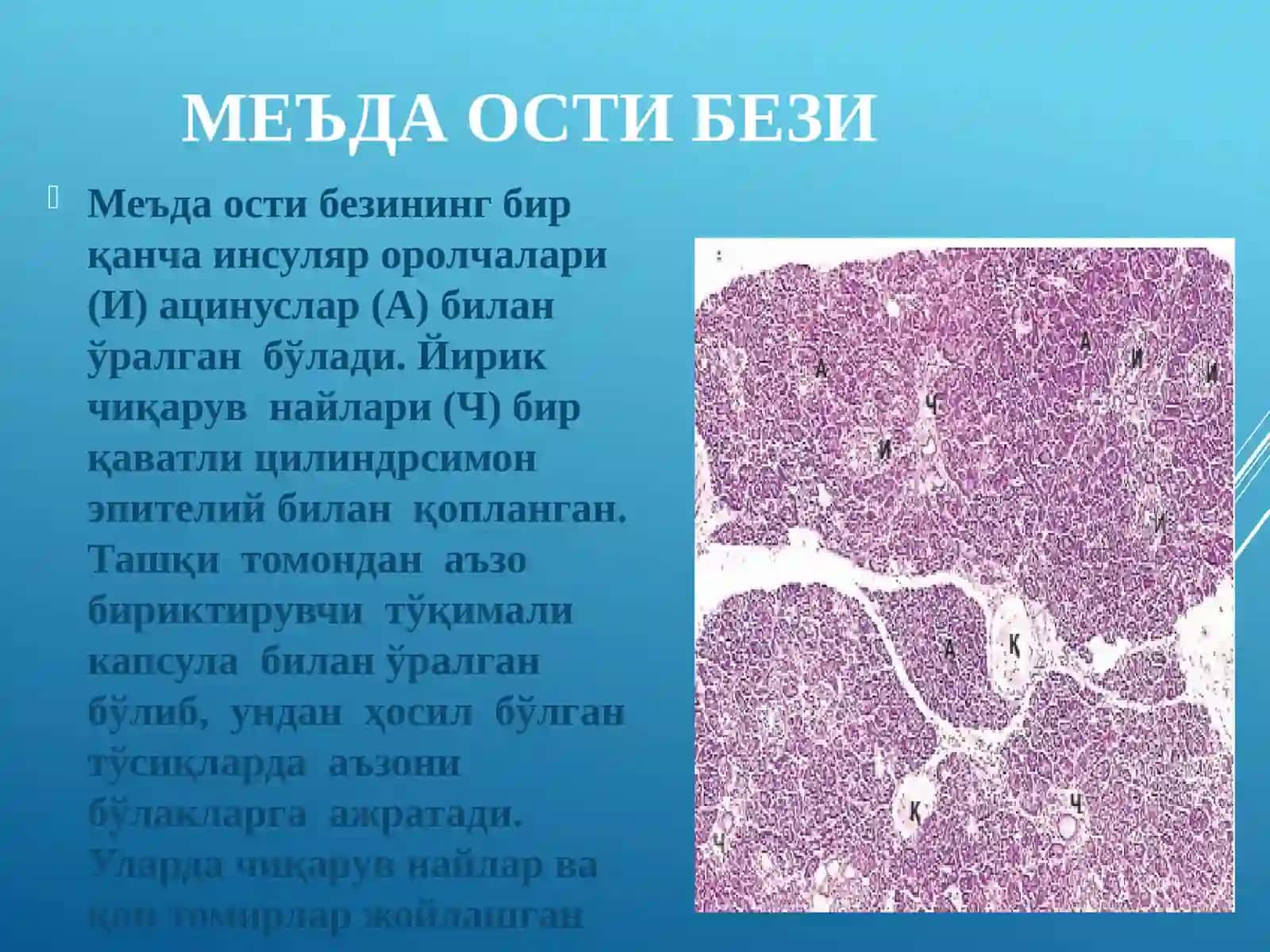 ЖИГАР. МЕЪДА ОСТИ БЕЗИ 3