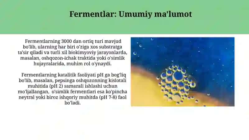 Fermentlar. Tuzulishi va xossalari 3