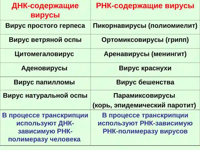 ПРОТИВОВИРУСНЫЕ СРЕДСТВА 3