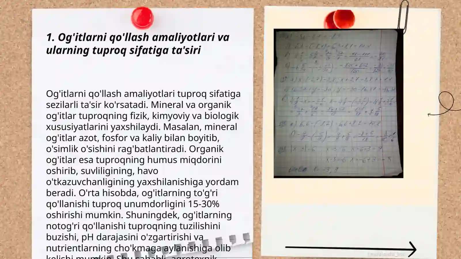 O‘simlikka ta‘siri aniqlash mavzusi 3