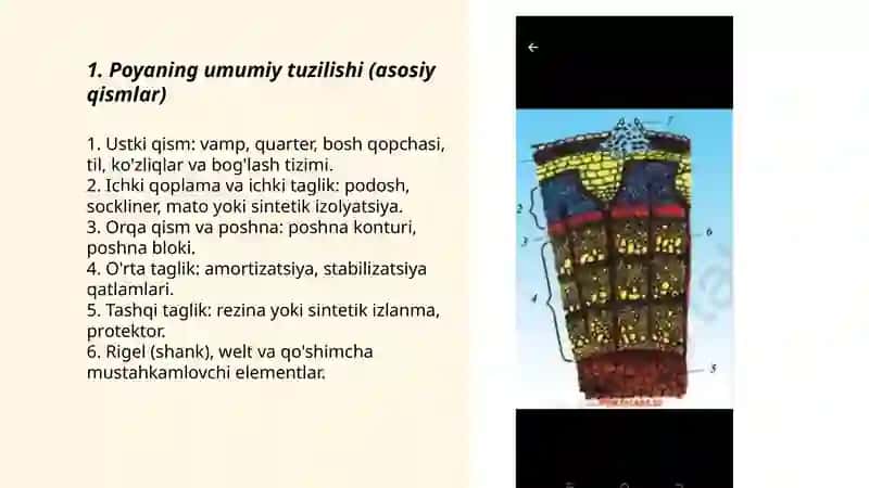 Poyaning tuzilishi va turlari 3