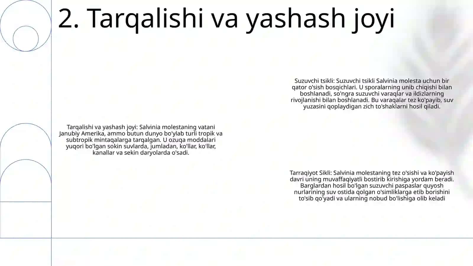 Suzuvchi Salviniyaning Taraqqiyot Sikli 3