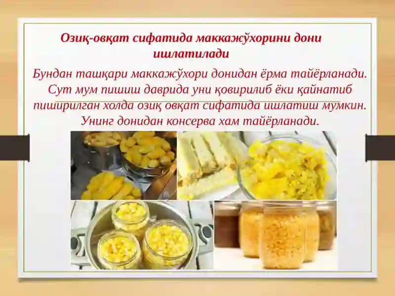 Маккажўхорини етириш технологияси 3
