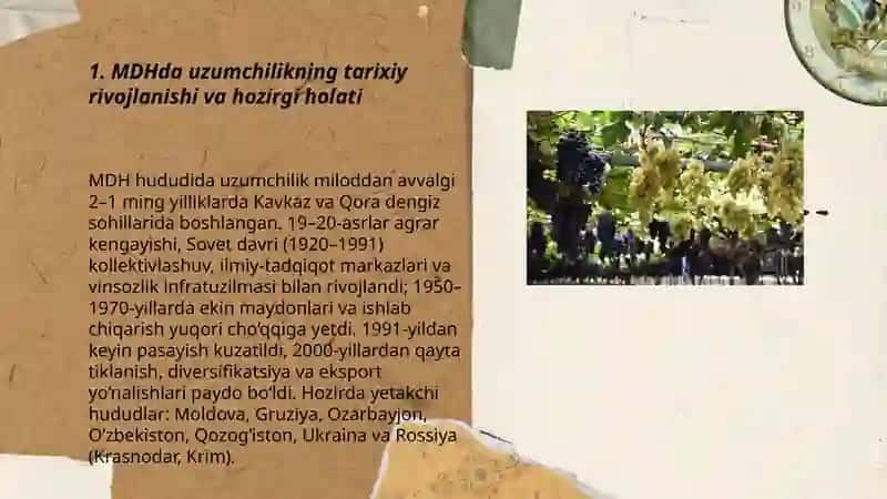 MDH va uzoq chet ellarda uzumchilikning rivojlanishi 3