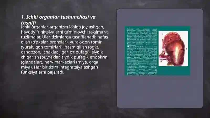 Ichki organlarining umumiy tuzilishi haqida 3