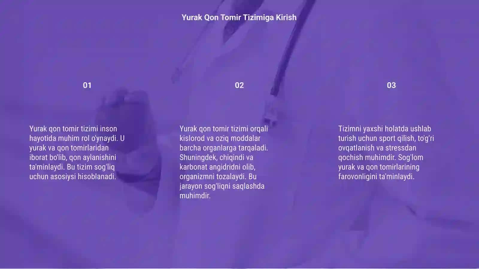 Yurak qon tomir tizimi 3