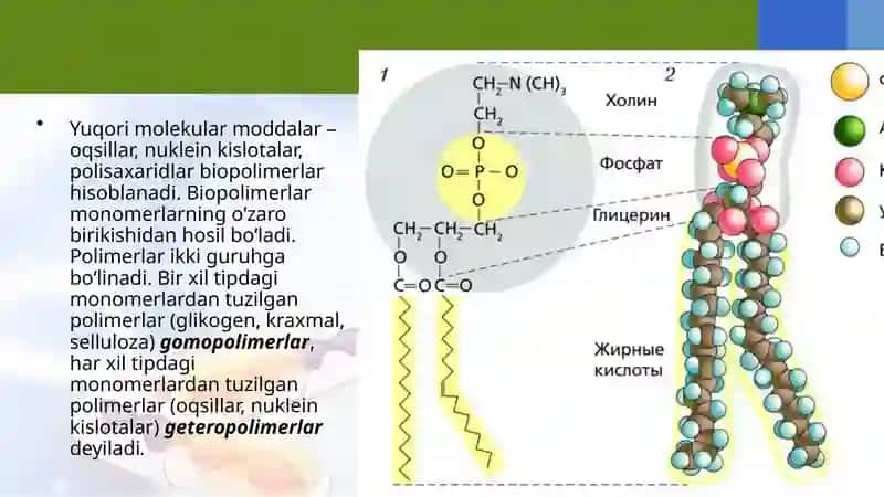 Uglevodlar va lipidlar 3