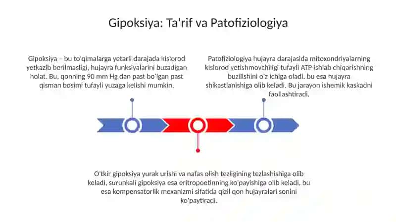 Gipoksiya uning turlari 3