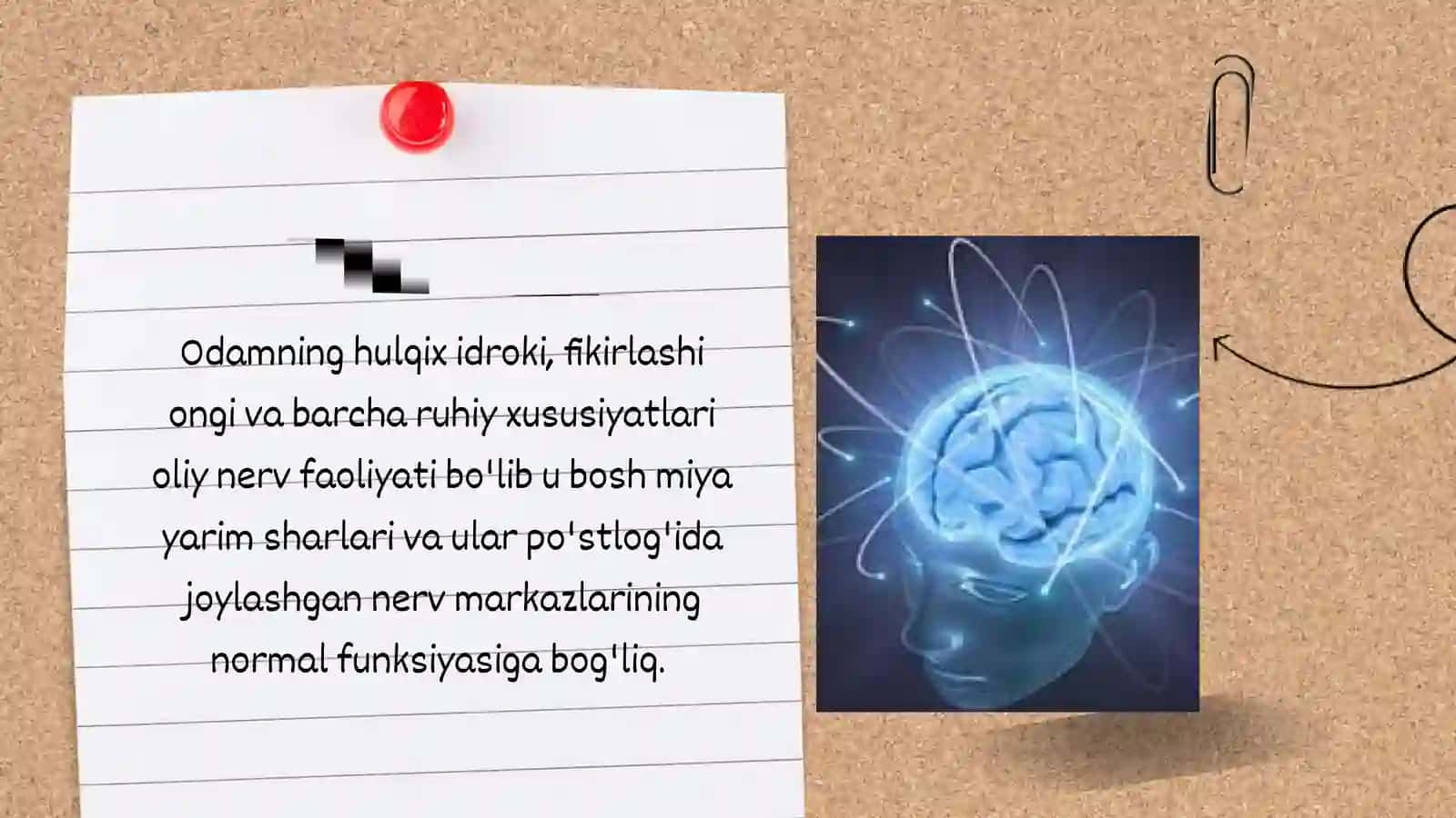 OLIY NERV FAOLIYATI 3