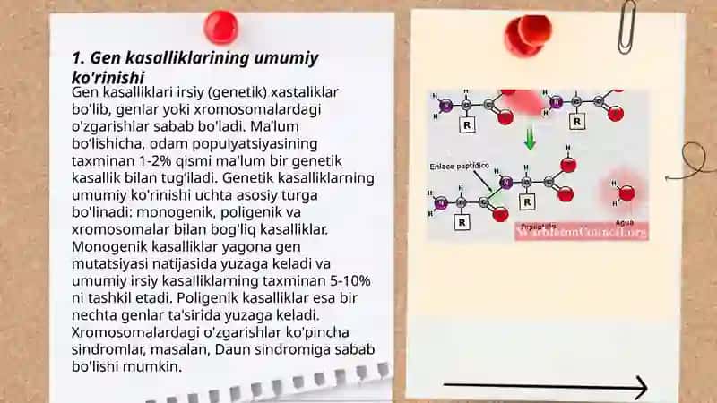 Gen kasalliklarining aminokislotalarni bilan ahamiyati 3