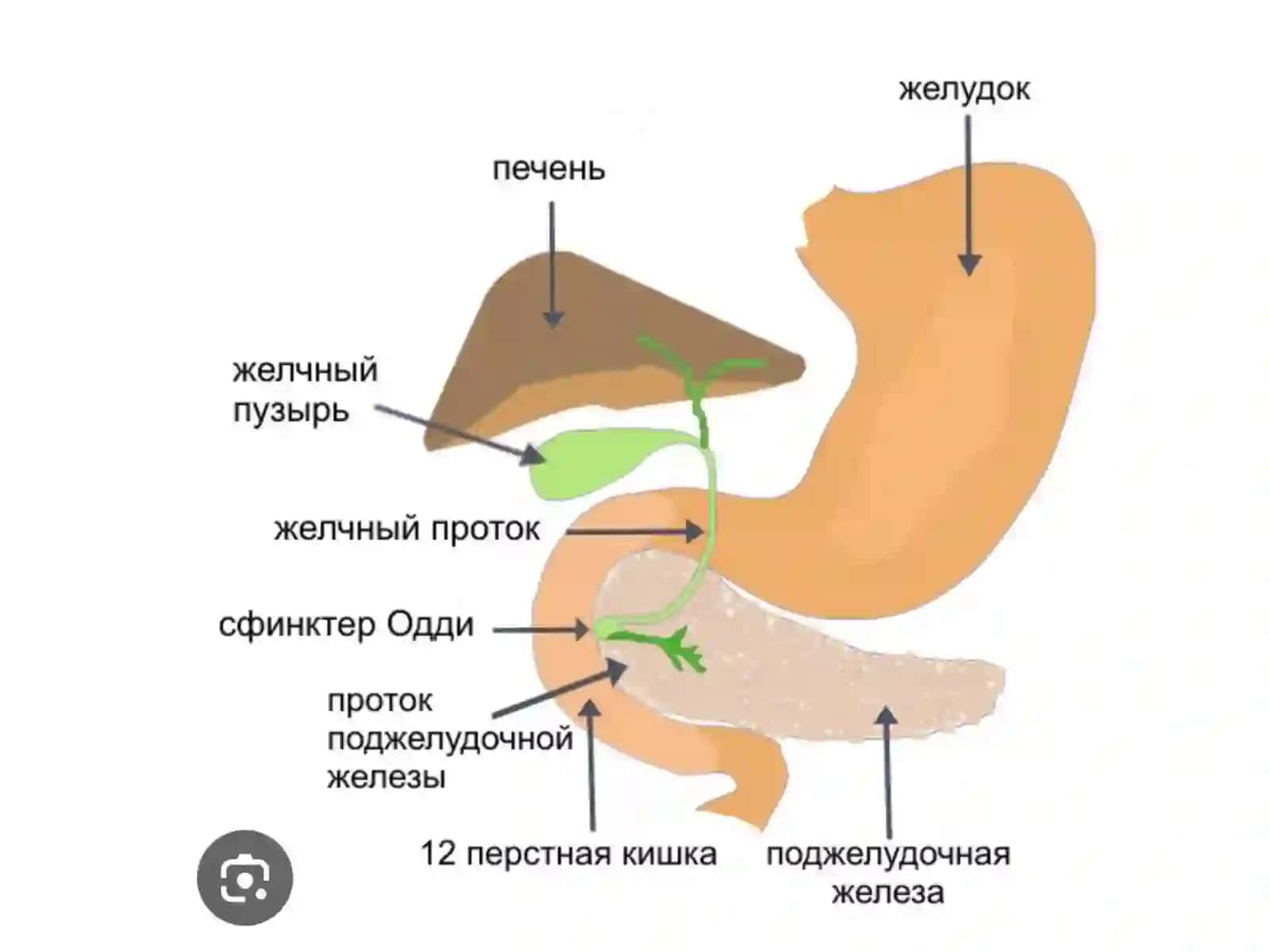 Oʼt yoʻllari diskeniziyasi 3