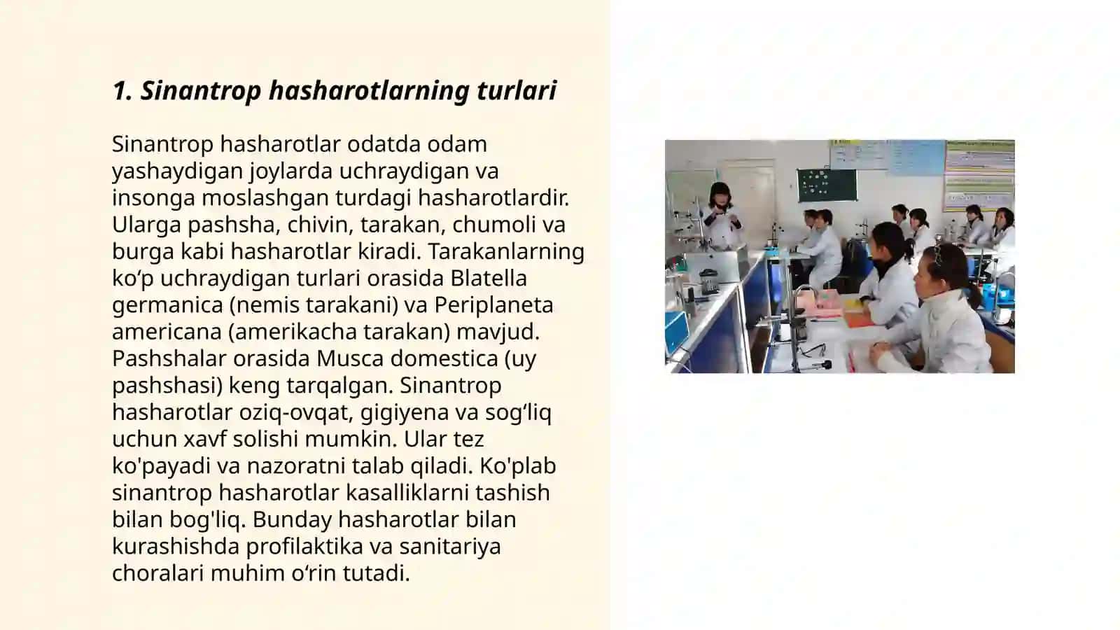 Sinantrop ko‘rinishidagi hasharotlar,ularning epidemiologik ahamiyati 3