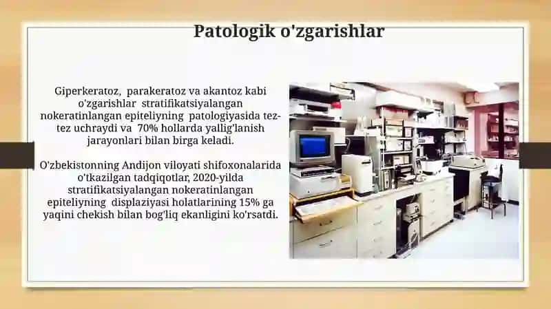 Köp qavatli muguzlanmaydigan yassi epiteliyning qavatlarini tahlil qilish 3