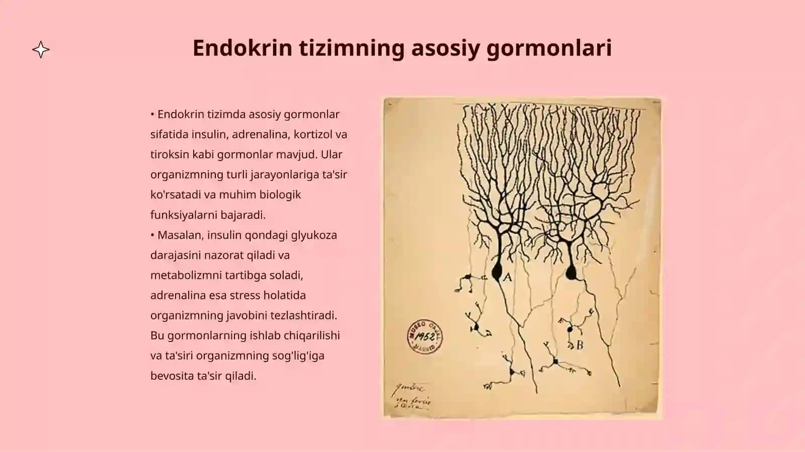 Endokrin fizologiyasi fani maqsadi va vazifsi o'rganish usullari 3