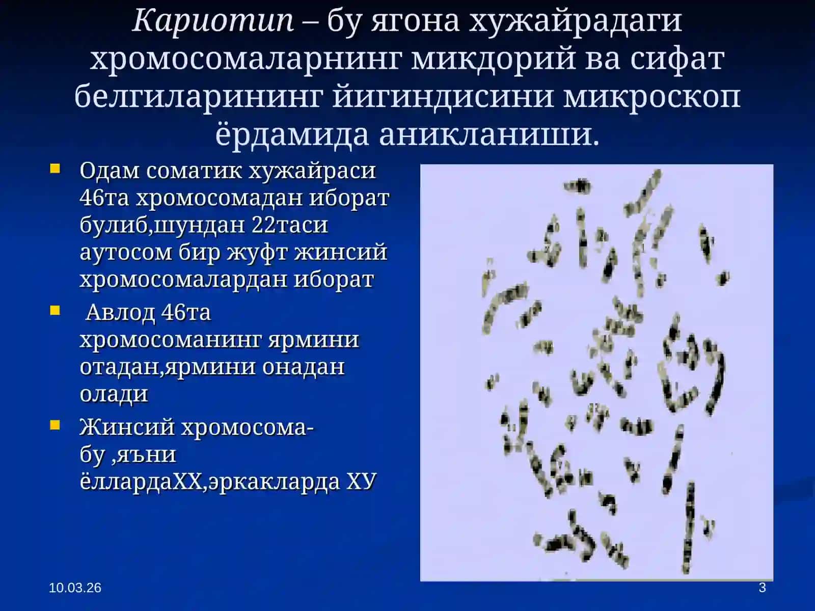 Одам Хромосомаси 3