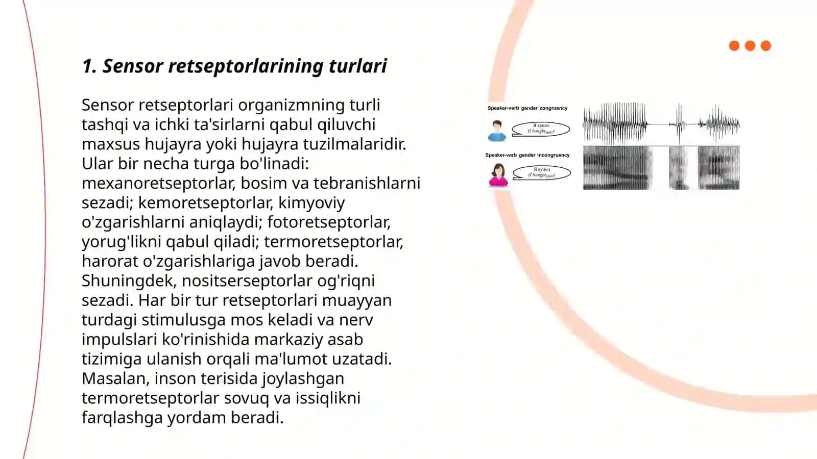 Sezgilarning nerv fiziologik asoslari 3